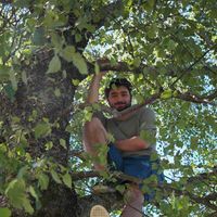 Damien MEYER's Photo