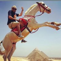 Walid Karama的照片