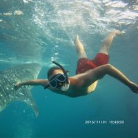 Bartłomiej Herman's Photo