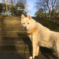 Fotos de Jakub Fabisiak