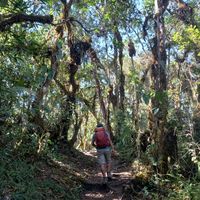 Fotos von Zugar Quispe Cusi