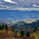 Touring Around The Black Forest's picture