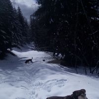 julie cantoni's Photo