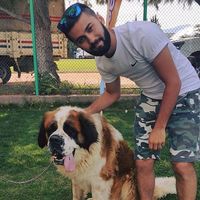 Arda Bağırıcıoğlu的照片