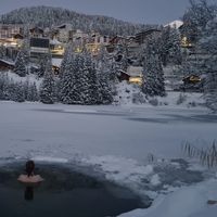 Sonja Schiffner's Photo