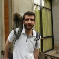 FERREIRA Matthieu's Photo