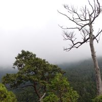 Mei Hua Wong's Photo