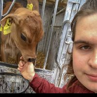 Fotos von Mikkel Brix