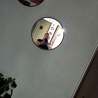 Fotos von Masoud Gerami