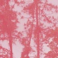 Michelle Pindar's Photo