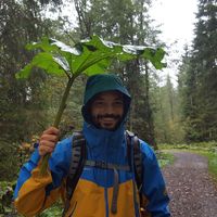 Photos de Zappel Philipp