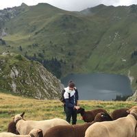 Luca Spengler's Photo