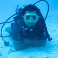 Michael  Ayoup's Photo