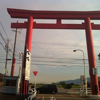 David Maurin's Photo