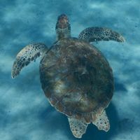 Marco Passavanti's Photo