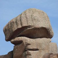 Beauvais Jacques's Photo