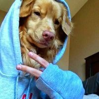 Ignacio Escares Canales's Photo