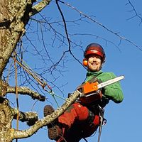 Photos de Simon Fogelqvist