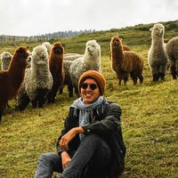 Chris Zambrano's Photo