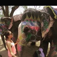 Alejandra Pinzon Diaz's Photo