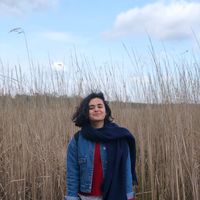 Nisbet Gültepe's Photo