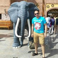 alaa emad eldin的照片