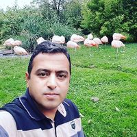 Fotos de Bewar Al Mezlum