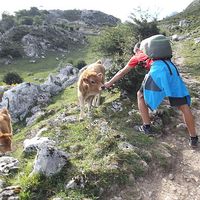 Fotos de Hugo Díaz