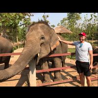 Andy Saunders的照片