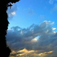 Federico Palini's Photo