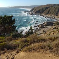 Claudio Rachel's Photo