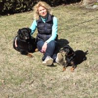 Nicole Schmitt's Photo