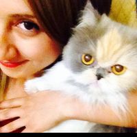 Zdjęcia użytkownika Kuchiki San