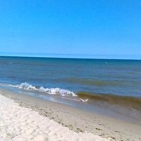 Nancy Alarcón's Photo