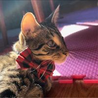 Vanessa Tran's Photo