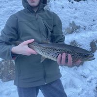 Josh McFlair's Photo