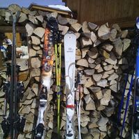 Roselyne Pigeon's Photo