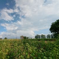 Fotos von Ankush Sheoran