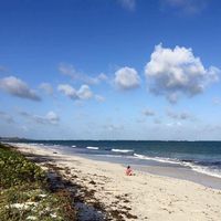 Katie Harrington's Photo