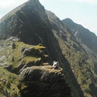 Shane McCarron's Photo