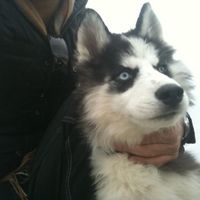 G Michael Gatsby's Photo