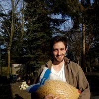 Photos de Johannes Frese