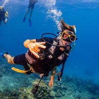 Yanick Luyten's Photo