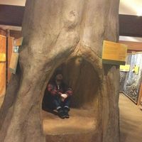 Alan Strong的照片