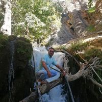 Adel Shokouhi的照片