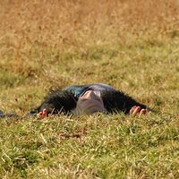 Aleksandra Kovacevic's Photo