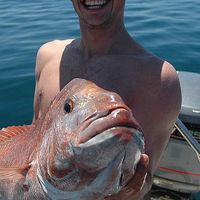 Scotty Milat's Photo