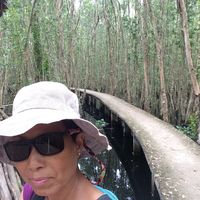 Caroline  Lai's Photo