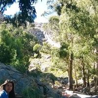 Cecilia Córdoba's Photo