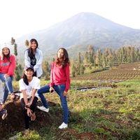 Aries  B. Nugroho的照片